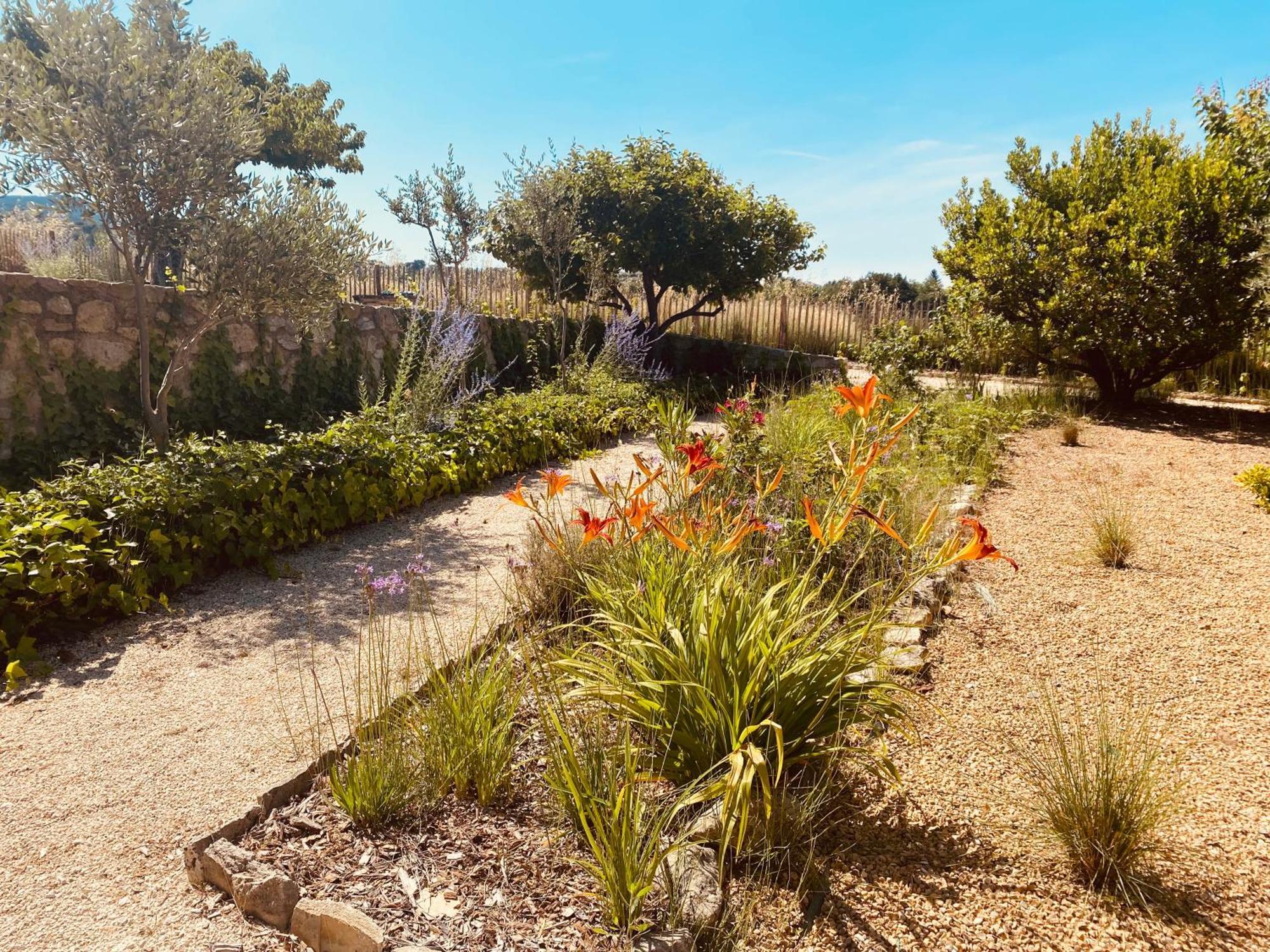 Villa La Bastide Des Oliviers Provence - Mirabel Aux Baronnies Exterior foto