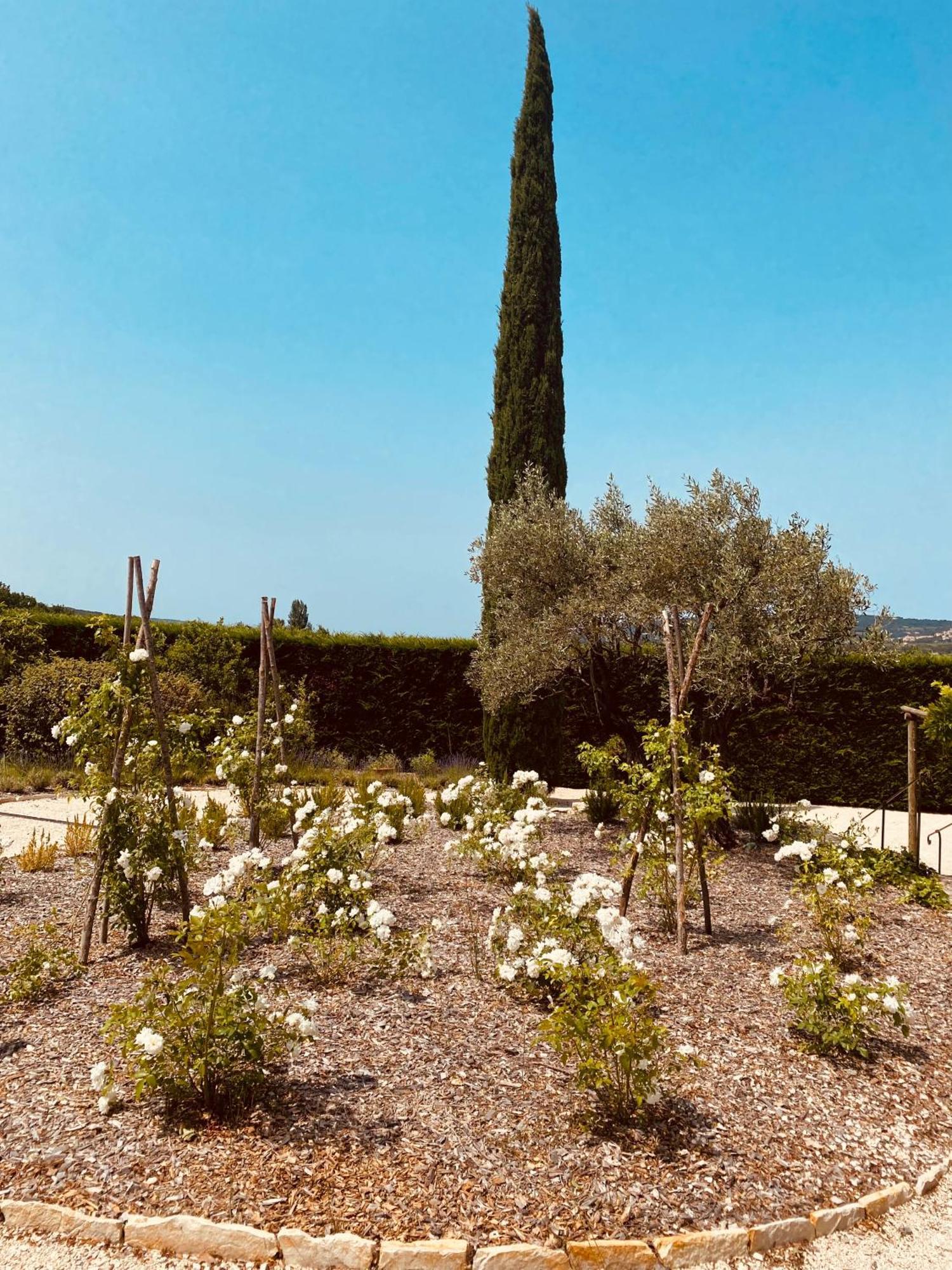 Villa La Bastide Des Oliviers Provence - Mirabel Aux Baronnies Exterior foto
