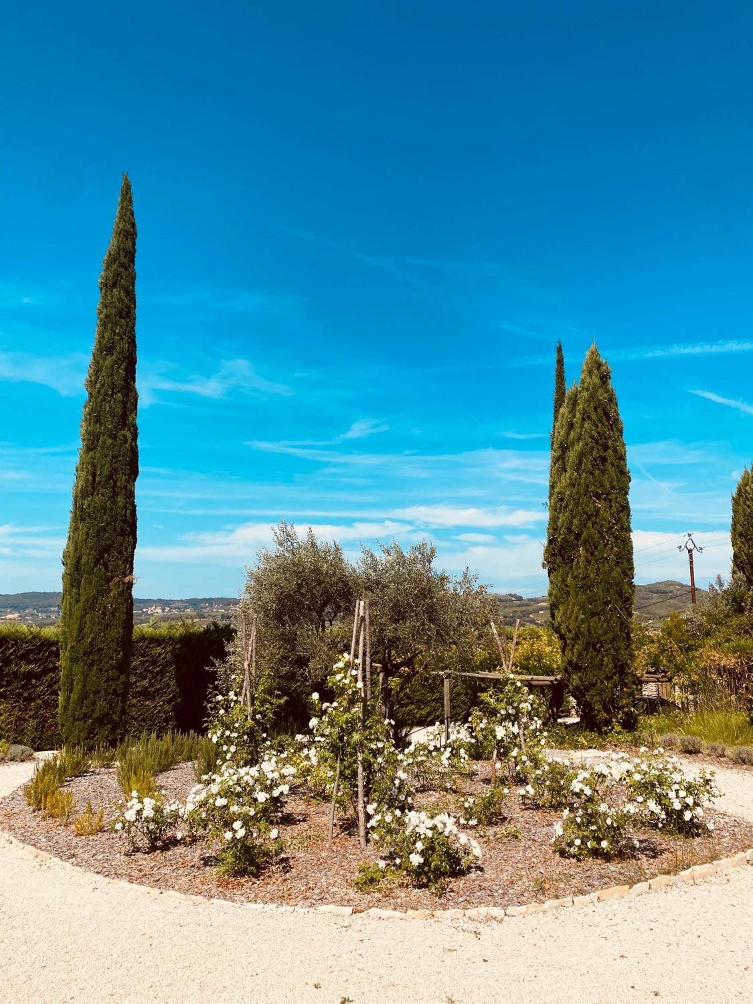 Villa La Bastide Des Oliviers Provence - Mirabel Aux Baronnies Exterior foto